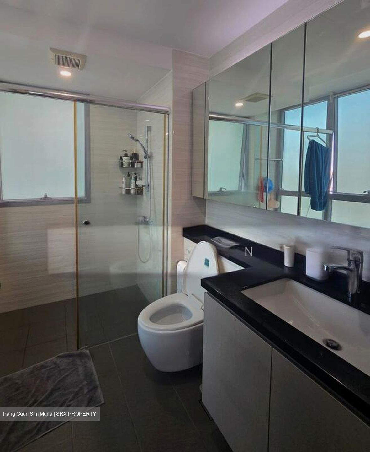 The Minton (D19), Condominium #502640041